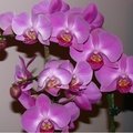 1_Picture 11001.jpg