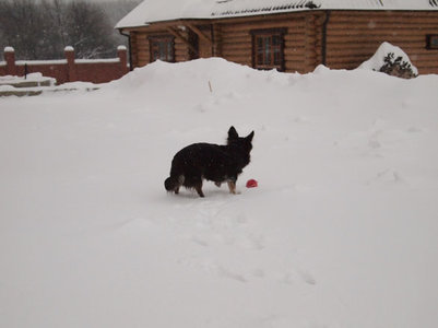 1_PB280165.JPG