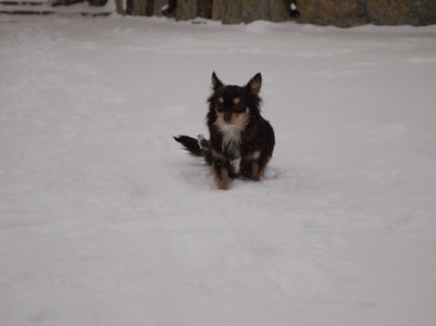 1_PB280166.JPG