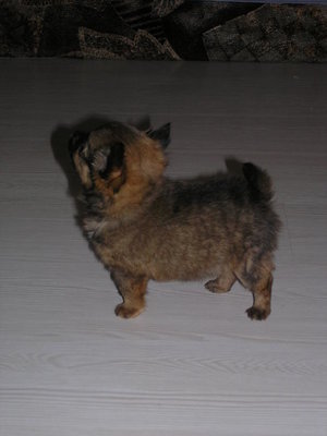 1_PB230064.jpg