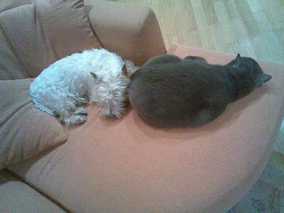 1_10112006.jpg