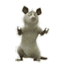 1_8888888888888888888.gif
