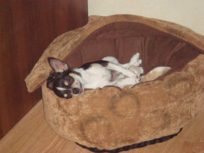 1_DSC01795.jpg