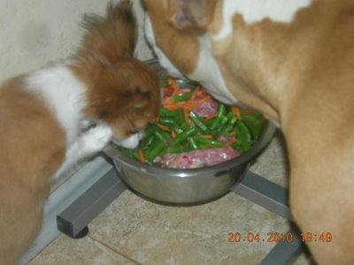 1_DSCN6407.jpg