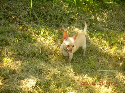 1_DSCN8064.jpg