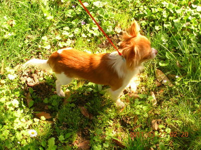 1_DSCN9079.jpg