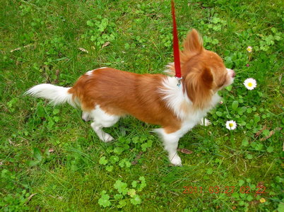 1_DSCN9085.jpg