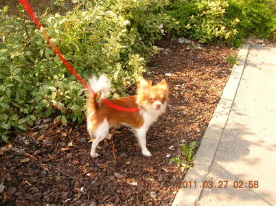 1_DSCN9094.jpg
