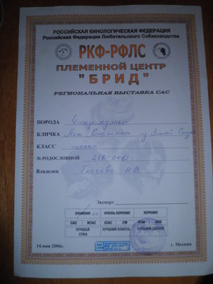 1_P1010004.jpg