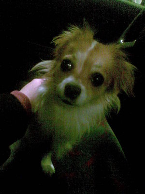 1_03042011.jpg