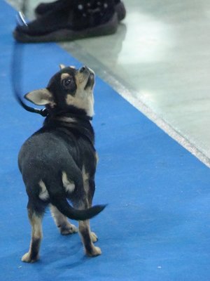 1_DSC07917[1].JPG