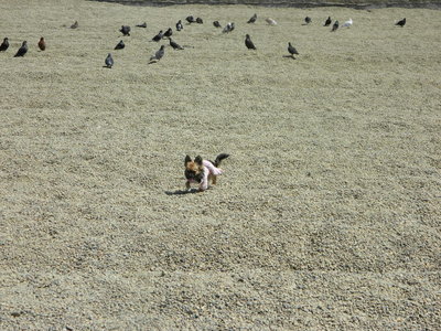1_DSCN0729.jpg