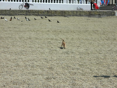 1_DSCN0733.jpg