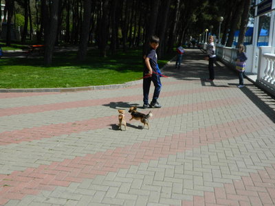 1_DSCN0771.jpg
