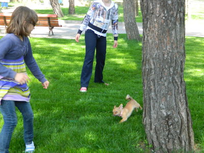 1_DSCN0790.jpg