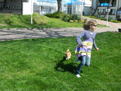 1_DSCN0807.jpg