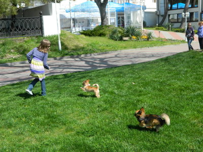 1_DSCN0810.jpg