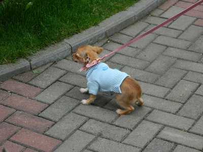 1_DSCN0674.jpg