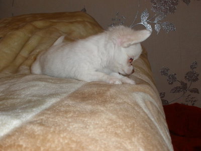 1_P5070032.jpg