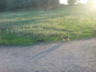 1_Фото0040.jpg