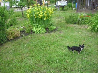 1_x_ed71366a.jpg