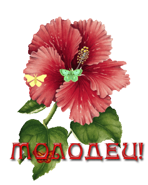 1_75468453_molodec_an.gif