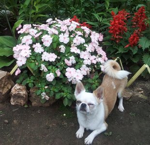 1_2011-07-23 14.29.49.jpg