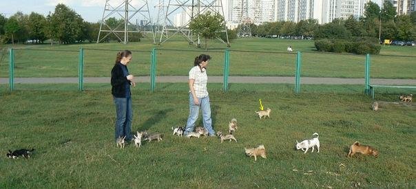 1_x_21a3259f[1].jpg