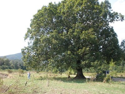1_P9010765.jpg