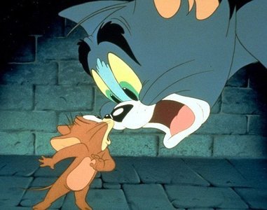 1_1263758218_real-tom-and-jerry-05.jpg