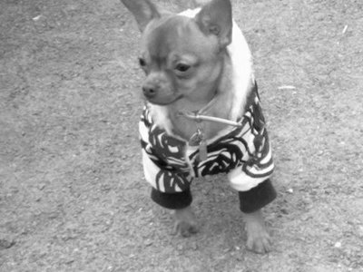1_30092011191.jpg