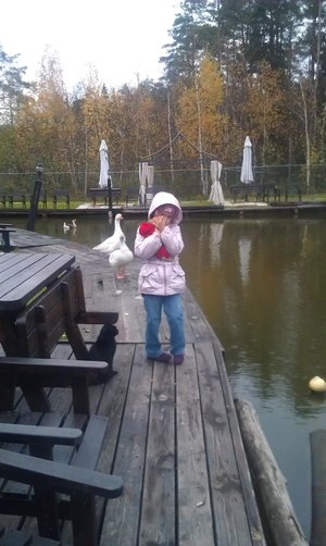 1_IMAG0127.jpg