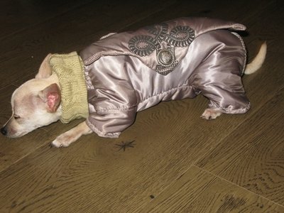 1_комбез.jpg