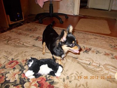 1_DSCN0914.jpg