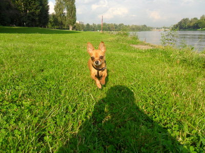 1_SAM_2367.jpg