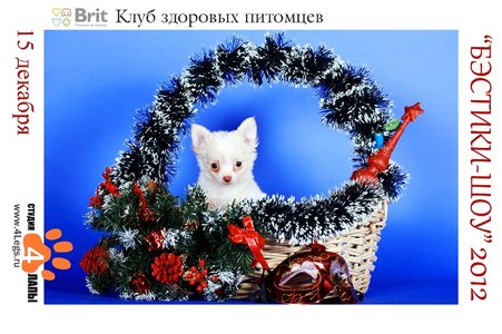 1_17  Анна Белкин.jpg