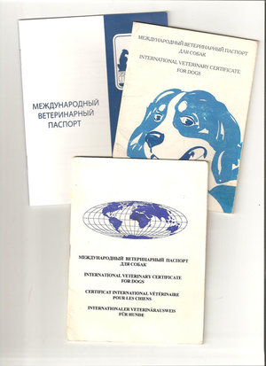 1_1250363748_mezhdunarodnyjj-veterinarnyjj-pasport-sobaki.jpg