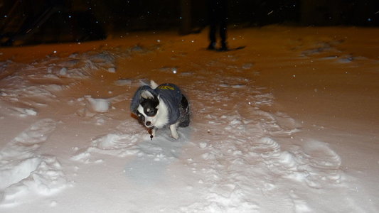 1_DSC01112.jpg