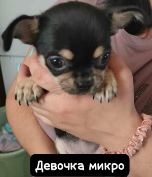 1_WhatsApp Image 2025-06-18 at 21.33.57.jpeg