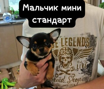 1_WhatsApp Image 2025-06-18 at 21.02.46.jpeg