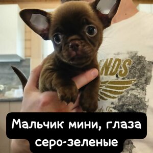 1_WhatsApp Image 2025-06-18 at 21.04.56.jpeg