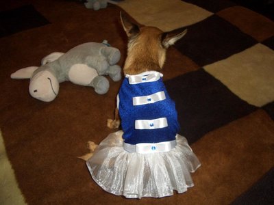 1_2008-12-26-16.53.42 .jpg