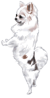 1_!cid_001401c8dd49$ebad1880$0201a8c0@12af9fbd6d92a4.gif