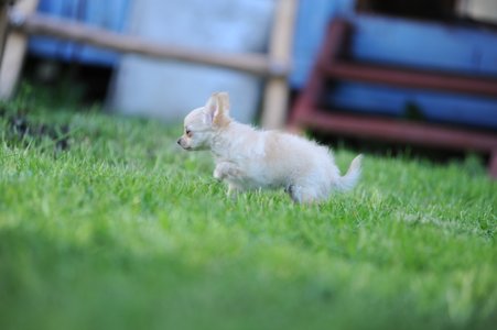 1_DSC_0565.JPG