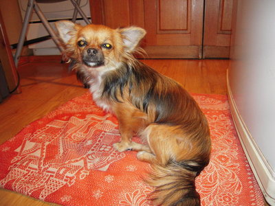 1_DSCN9447.jpg