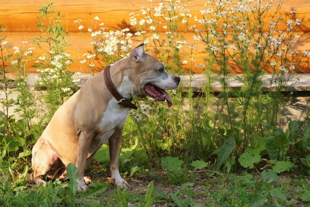 1_DSC00036.jpg