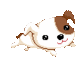viki