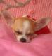 Princessa