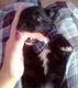 LuckyBOY