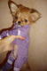 natager